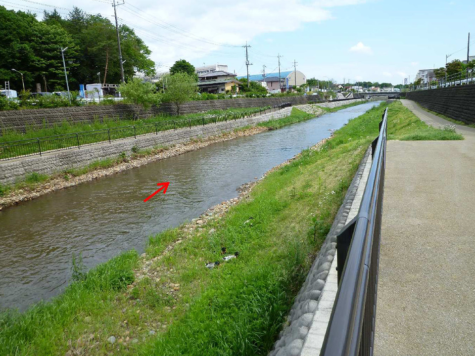 江川の外観