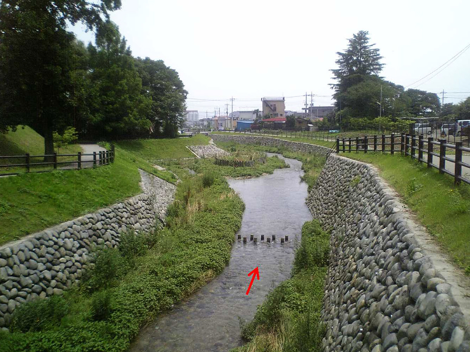 百村川の外観